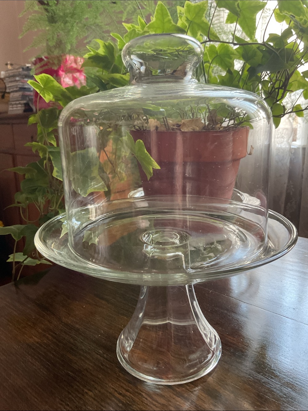 Clear Glass Pedestal Cake Stand with Dome - Home Dining